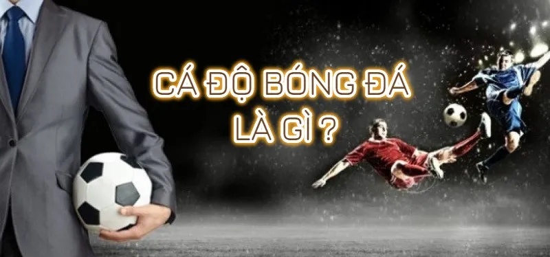 Cá độ bóng đá là gì?